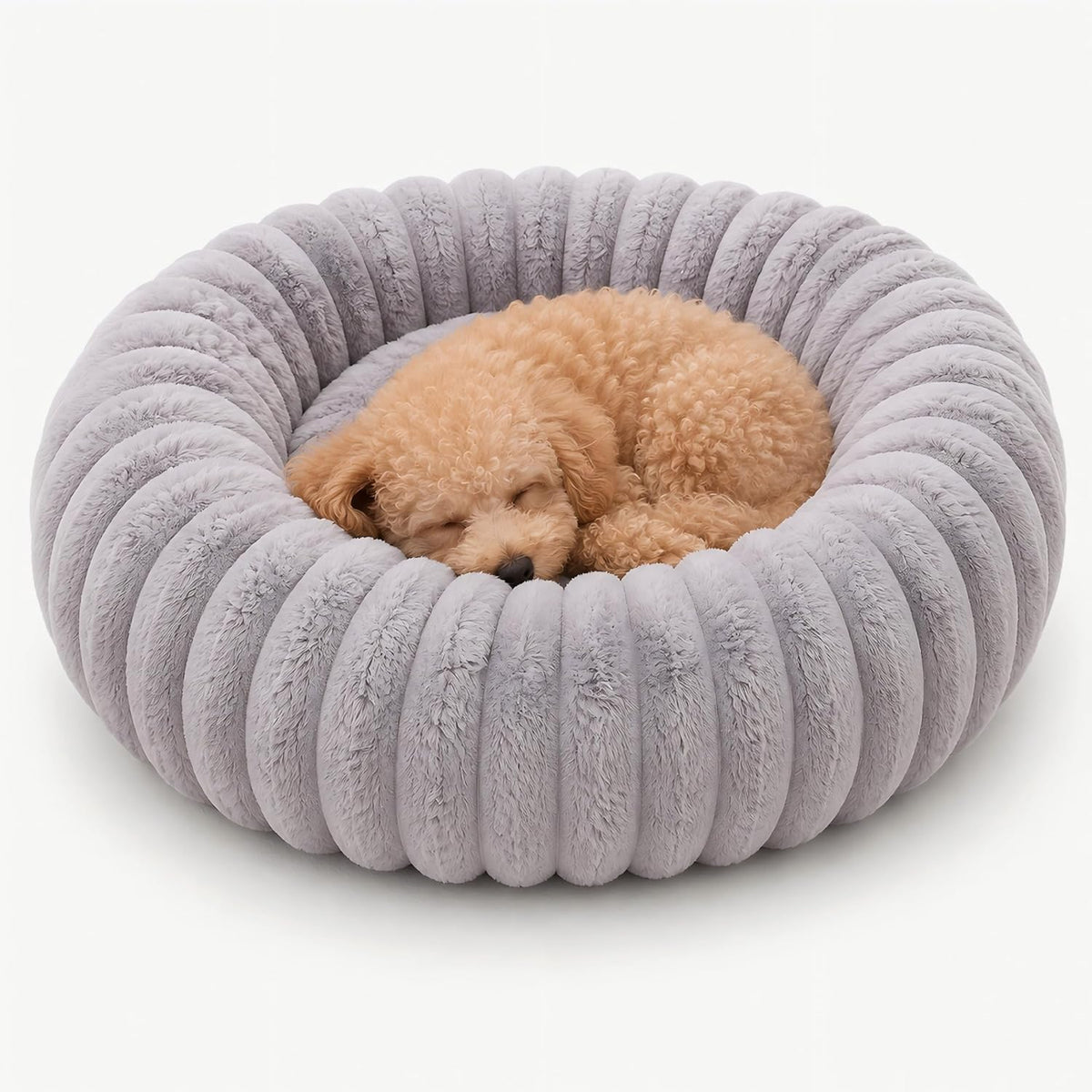 Dog Bed Smelling Funky Again? Why Washability Matters More Than Fluff