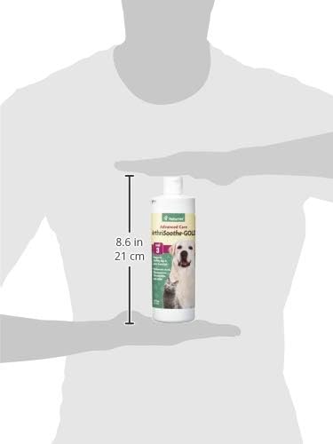 NaturVet – ArthriSoothe-Gold Advanced Care Liquid - 16 oz