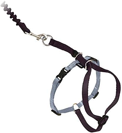 PetSafe Come with Me Kitty Harness and Bungee Cat Leash, Black, Small