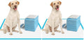 IMMCUTE Large Dog Pee Pads 28"x30"-50 Count | Large Puppy Pee Training Pads Super Absorbent & Leak-Proof | Disposable Pet Piddle and Potty Pads for Puppies | Dogs | Doggie (Pack of 2)