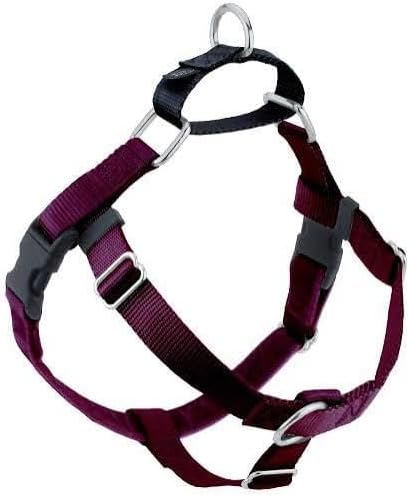 2 Hounds Design Freedom No Pull 1 Inch Training Leash ONLY Works with No Pull Harnesses Raspberry