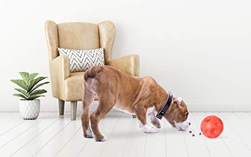 Omega Paw Authentic Tricky Treat Ball Large