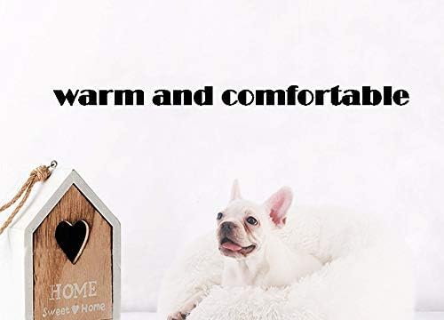Cat Bed for Indoor Cats,Mini Plush Self Warming Kitten Bed, 20 Inch