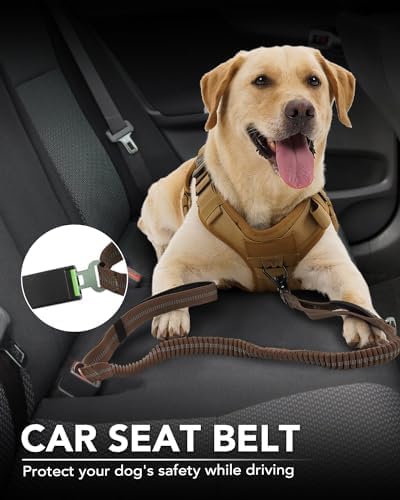 Joytale Tactical Bungee Dog Leash, Shock Absorbing No Pull, Brown
