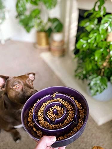 LE TAUCI Dog Bowls Slow Feeder Ceramic, 1.5 Cup Slow Feeding Bowl for Small and Medium Breed, Puzzle Dog Food Bowl for Fast Eater, Maze Purple 