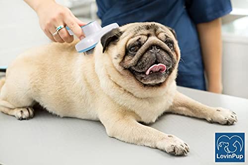 Pet Slicker Brush – Self Cleaning Brush for Dogs & Cats | Retractable Bristles for All Hair Types – Massaging Pins Remove Tangles & Mats Painlessly – Durable Grooming Tool for Pets 