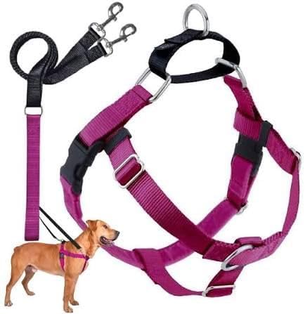 2 Hounds Design Freedom No Pull 1 Inch Training Leash ONLY Works with No Pull Harnesses Raspberry