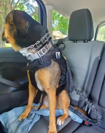 Heavy Duty Dog Leash Shock Absorbing Bungee, Seatbelt Clip Padded Handles