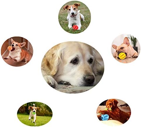 Sunglow 2 Pack Dog Toy, Nontoxic Bite Resistant Teething Balls for Small/Medium/Large Dogs and Puppies, Pet Food Treat Feeder, Chew Tooth Cleaning, Exercise Game IQ Training
