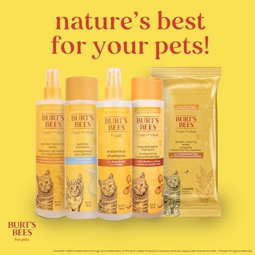 Burts Bees for Pets Cat Dander Remover Wipes, Unscented, 50 Count, 2-Pack | Colloidal oat flour and aloe soothe dry skin and reduce flaking, gentle grooming for cats and kittens 