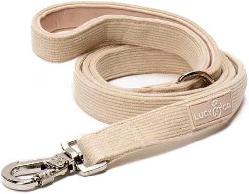Lucy & Co. Oh My Gourd Corduroy Dog Leash, L