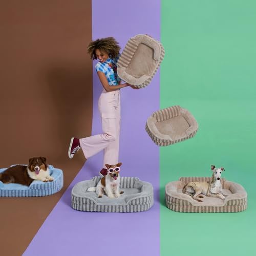 LE SURE Cute Cozy High Back Orthopedic Small Dog Bed with Sides, 24" Blue