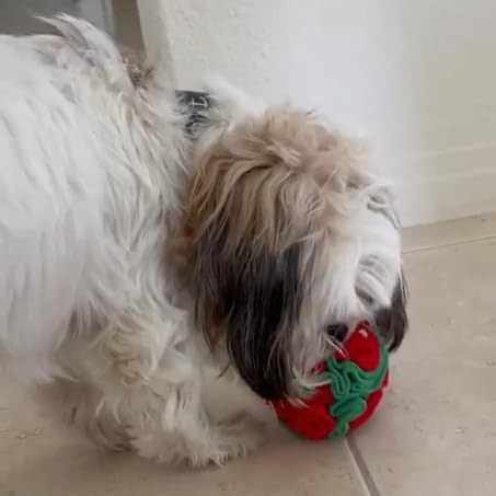 Glory To Dog Small Breed Snuffle Ball Foraging Dog Toy Christmas Green/Red