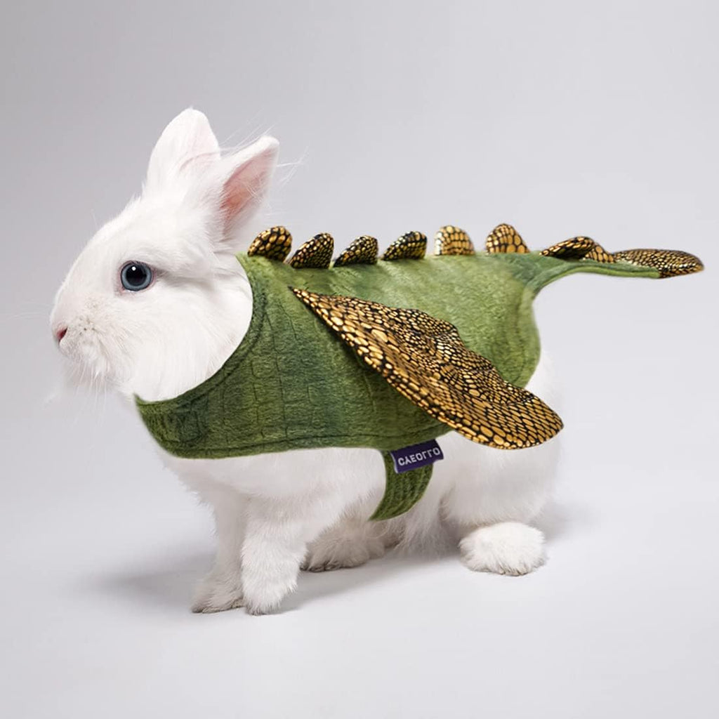 cyeollo Dinosaur Halloween Costume for Rabbit Bunny Puppy Kitten 2lb to 4lb