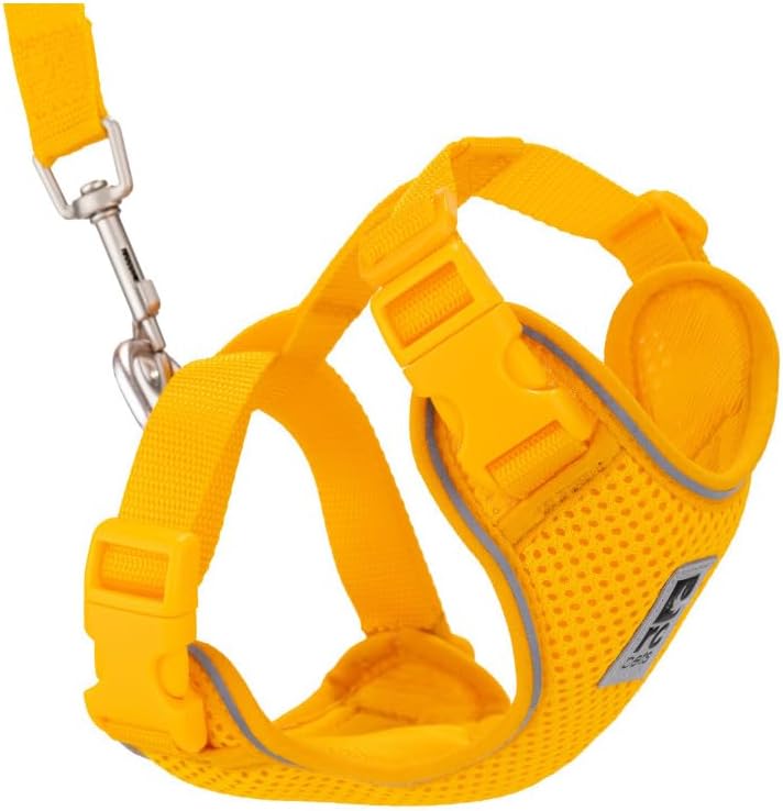 RC Pets Adventure Kitty Harness, 6ft Leash, Medium, Marigold
