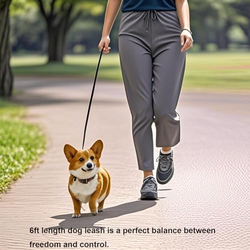 6 FT Puppy Leashes, Strong Traditional Style Leash with Easy to Use Collar Hook,Dog Lead Great for Small and Medium and Large Dog (Black, 5/8 in x 6 ft) (Pack of 3)