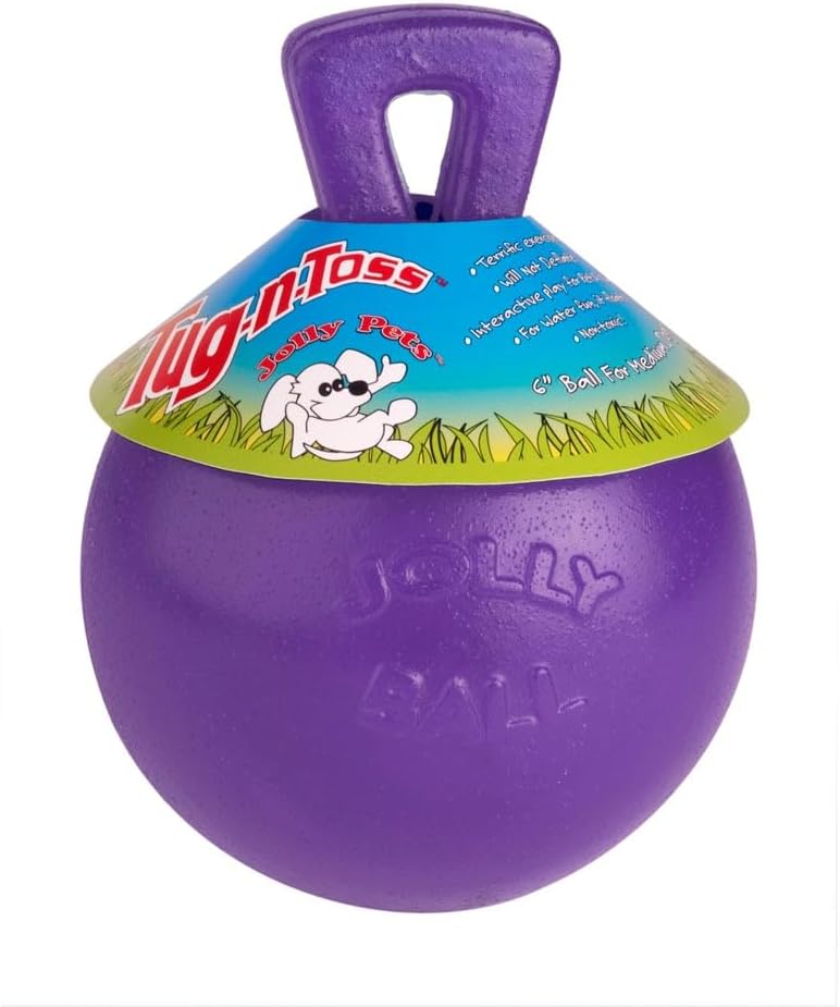 Jolly Pets Tug-n-Toss Heavy Duty Dog Toy Ball with Handle, 4.5 Inches/Small, Purple