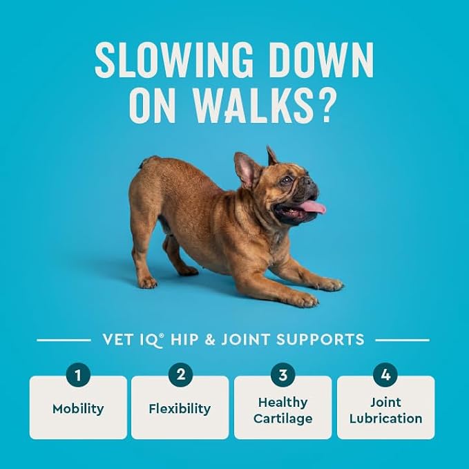 VetIQ Max Strength Hip & Joint Chews for Dogs, 90ct