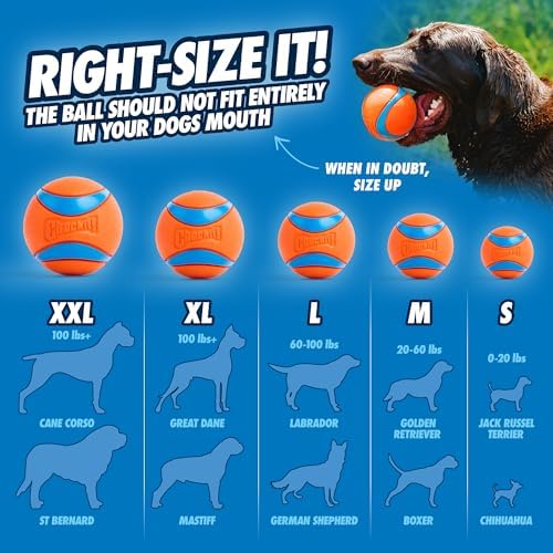 Chuckit! Ultra Ball Dog Toy, Balls for Dogs to Fetch, Durable Rubber, Small 2-inch (Pack of 24)