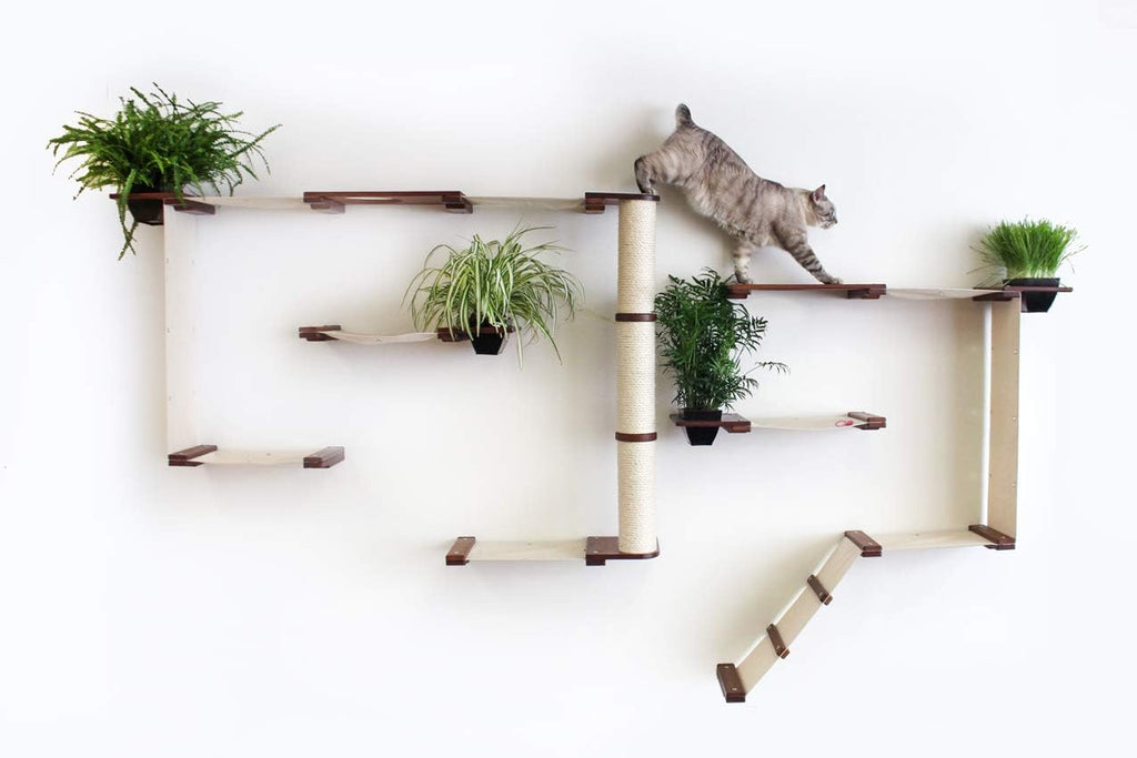 CatastrophiCreations Gardens Set for Cats Multiple-Level Wall Mounted Scratch, Hammock Lounge, Play & Climbing Activity Center Furniture Cat Tree Shelves