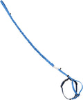 PetSafe Come with Me Kitty Harness and Bungee Cat Leash, Royal Blue, Small