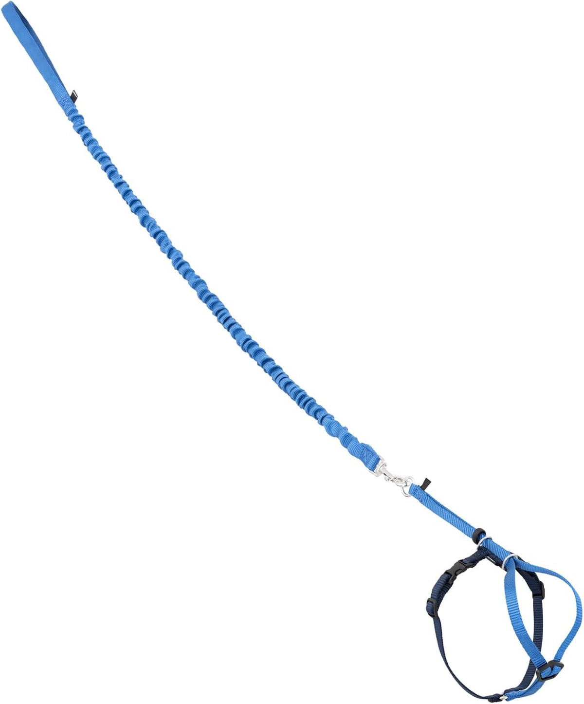 PetSafe Come with Me Kitty Harness and Bungee Cat Leash, Royal Blue, Small
