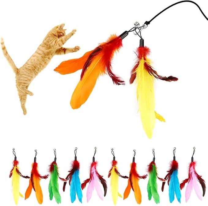 Suction Cup Door Hanging Cat Toy Set, Assorted Replaceable Refills Feather Worm Ribbon Mouse Butterfly Interactive Kitten Play Toy (Feather Set (10Pcs))
