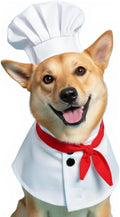 Dog Halloween Costumes, Cute Dog Chef Costume Chef Hat Culinary Wear Clothes for Pet Dogs, (2PCS Set) Medium