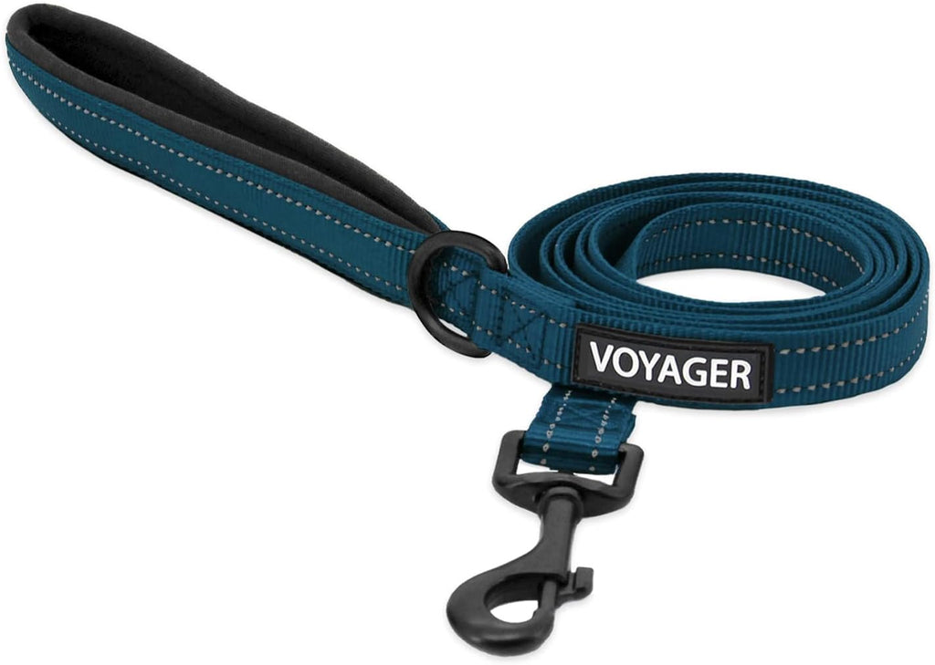 Best Pet Supplies Voyager Nylon Dog Leash - Blue, Small