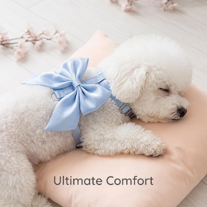Cute Leash and Bow H-Shaped Design Harness for Small Cats Dogs, Proof Soft Adjustable Vest Easy Control Breathable Harnesses for Small Cats Dogs (Blue M 8-15LBS)