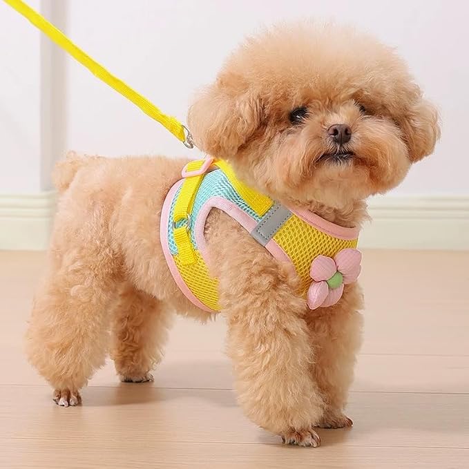 Floral Mesh Dog Harness with Matching Leash, Pink, M (12-15lbs)