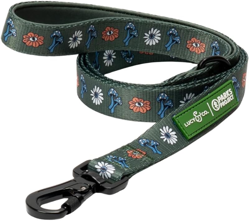 Lucy & Co. x Parks Project Power to the Parks Dog Leash, Durable Matching Dog Lead with Heavy Duty Hardware, Large