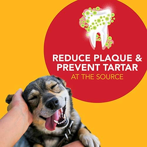 Petrodex Dog Dental Care Kit, Toothbrush & Toothpaste, Poultry | Complete oral care kit: toothpaste + toothbrush; reduces plaque & tartar; fights bad breath; poultry flavor, 2.5oz 