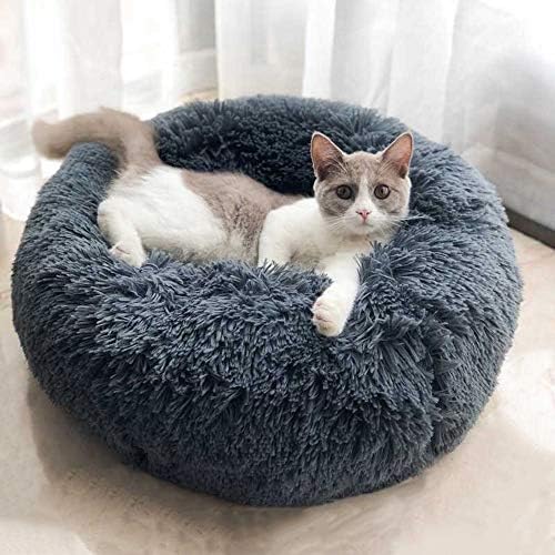 Cat Bed for Indoor Cats,Mini Plush Self Warming Kitten Bed, 20 Inch