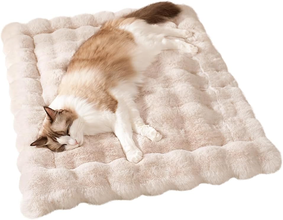 SOMAHE Soft Plush Cat Bed Mat, Machine Washable, Small 23x15 Milky White