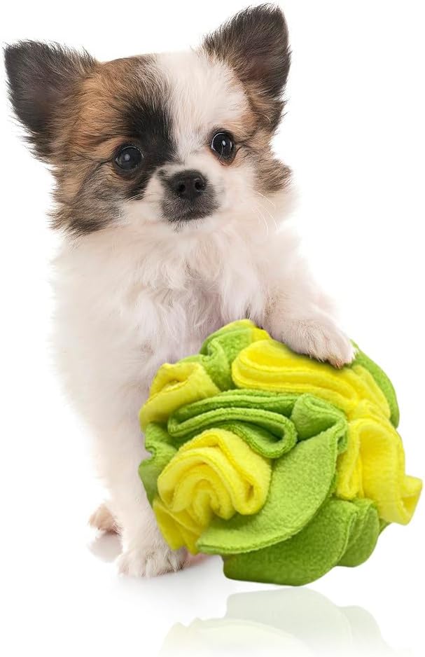 Glory To Dog Puppy/Small Breed Snuffle Dog Puzzle Ball Toy Yellow and Green