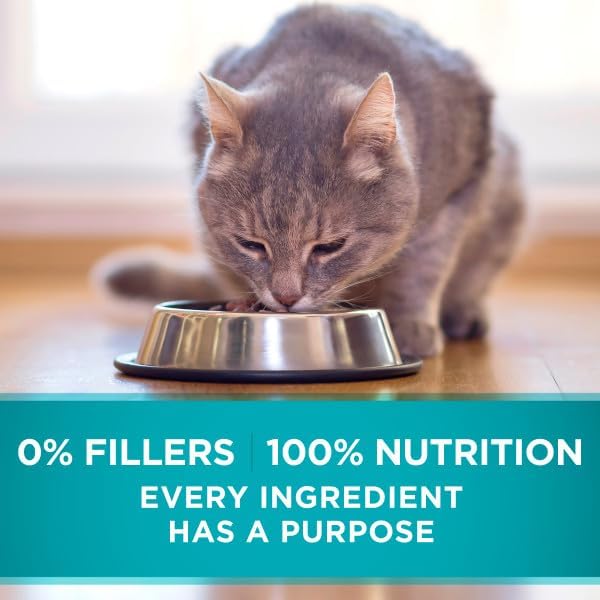 Purina ONE Indoor High Protein Pate Wet Cat Food, (24) 3 oz Cans