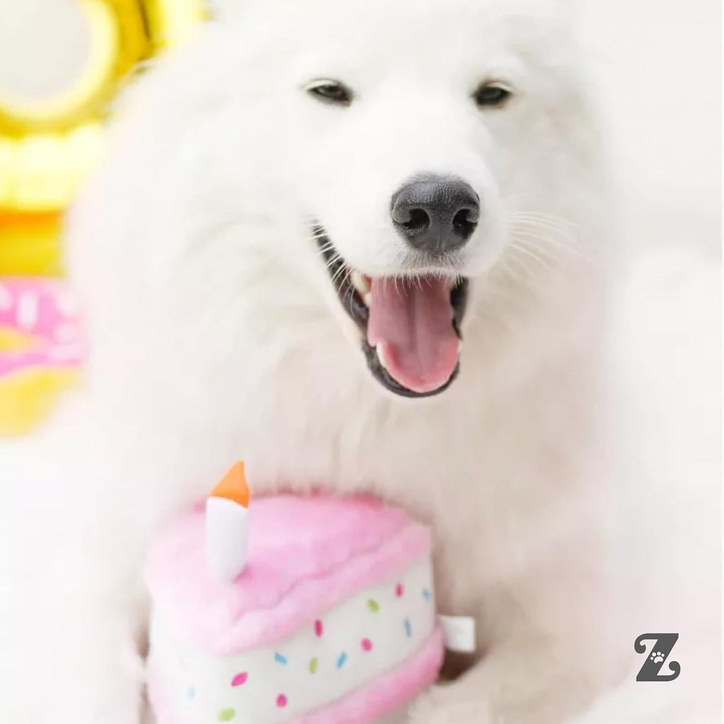 ZippyPaws Birthday Cake Dog Squeaky Toys to Keep Them Busy - Pink | Funny Food Plush for Small, Medium & Large Dogs, Cute Stuffed Puppy Toy, Pet Products, for Dogs of All Breeds, Soft & Cuddly