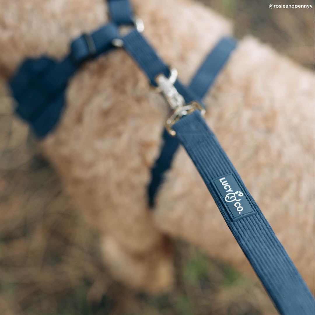 Lucy & Co. Appley Ever After Corduroy Dog Leash, L