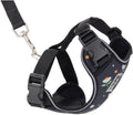 RC Pets Adventure Kitty Harness, 6ft Leash, Small, Daisies