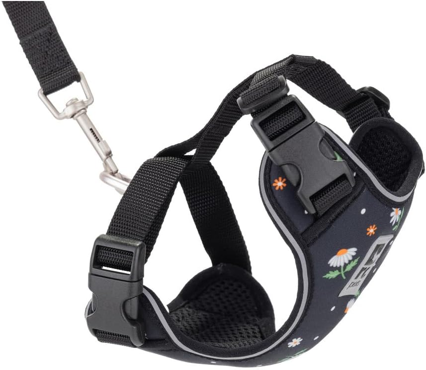 RC Pets Adventure Kitty Harness, 6ft Leash, Small, Daisies