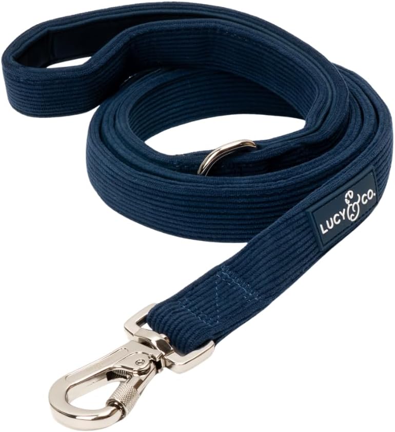 Lucy & Co. Appley Ever After Corduroy Dog Leash, L