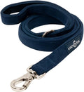 Lucy & Co. Appley Ever After Corduroy Dog Leash, L