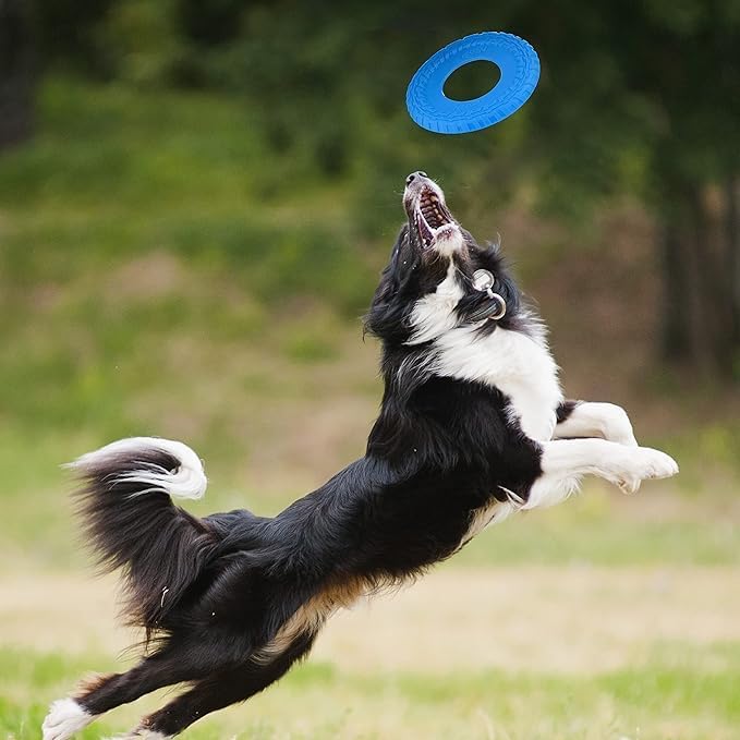 Nerf Dog Tire Flyer Outdoor Dog Toy, 10 Inch Flying Disc Dog Fetch Toy, Rubber Dog Toy for Medium Dogs and Large Dogs, Blue (Pack of 2)