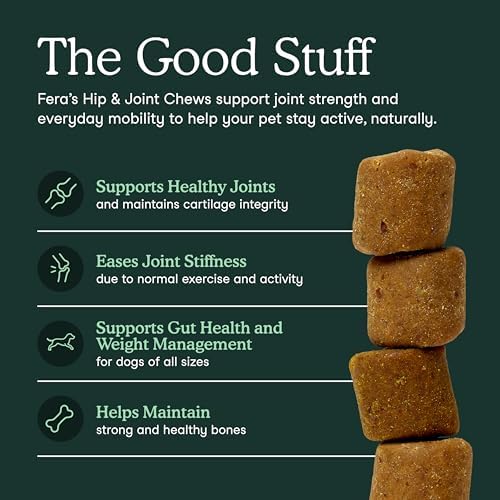 Fera Pets Hip & Joint Supplement for Dogs with Glucosamine, MSM, Chondroitin, & Green Lipped Mussel - Supports Healthy Joints and Weight Management - 90 Soft Chews (Pack of 2)
