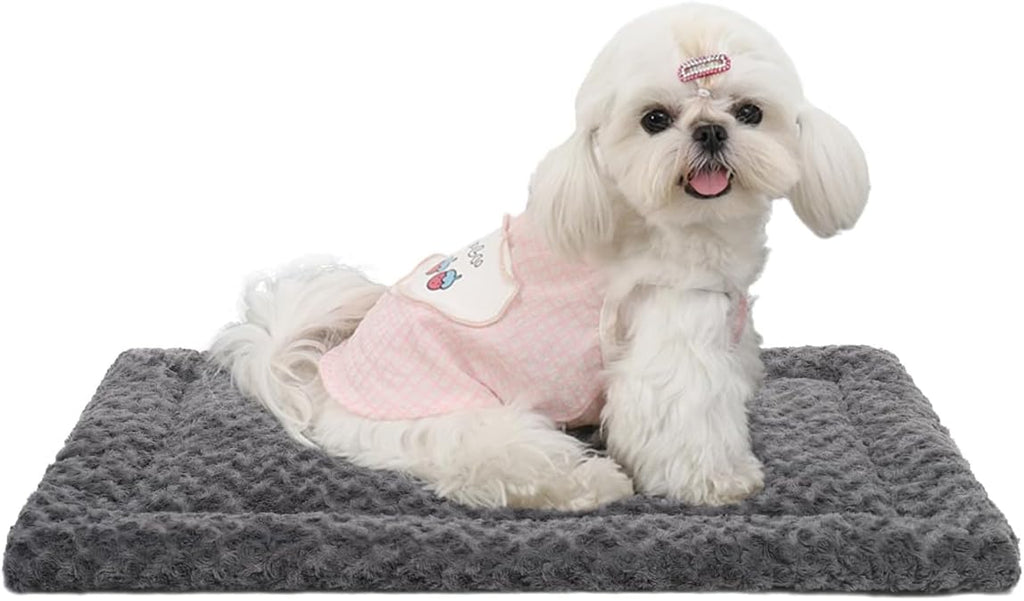 Exsnugy Washable Dog Bed Mat Medium Size Fluffy Pet Crate Pad 21x13