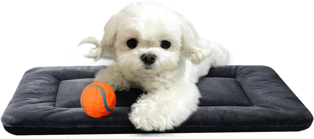 Dog Crate Pad Washable Dog Bed for Crate Small Cozy Mat 22-Inch Dark Gray