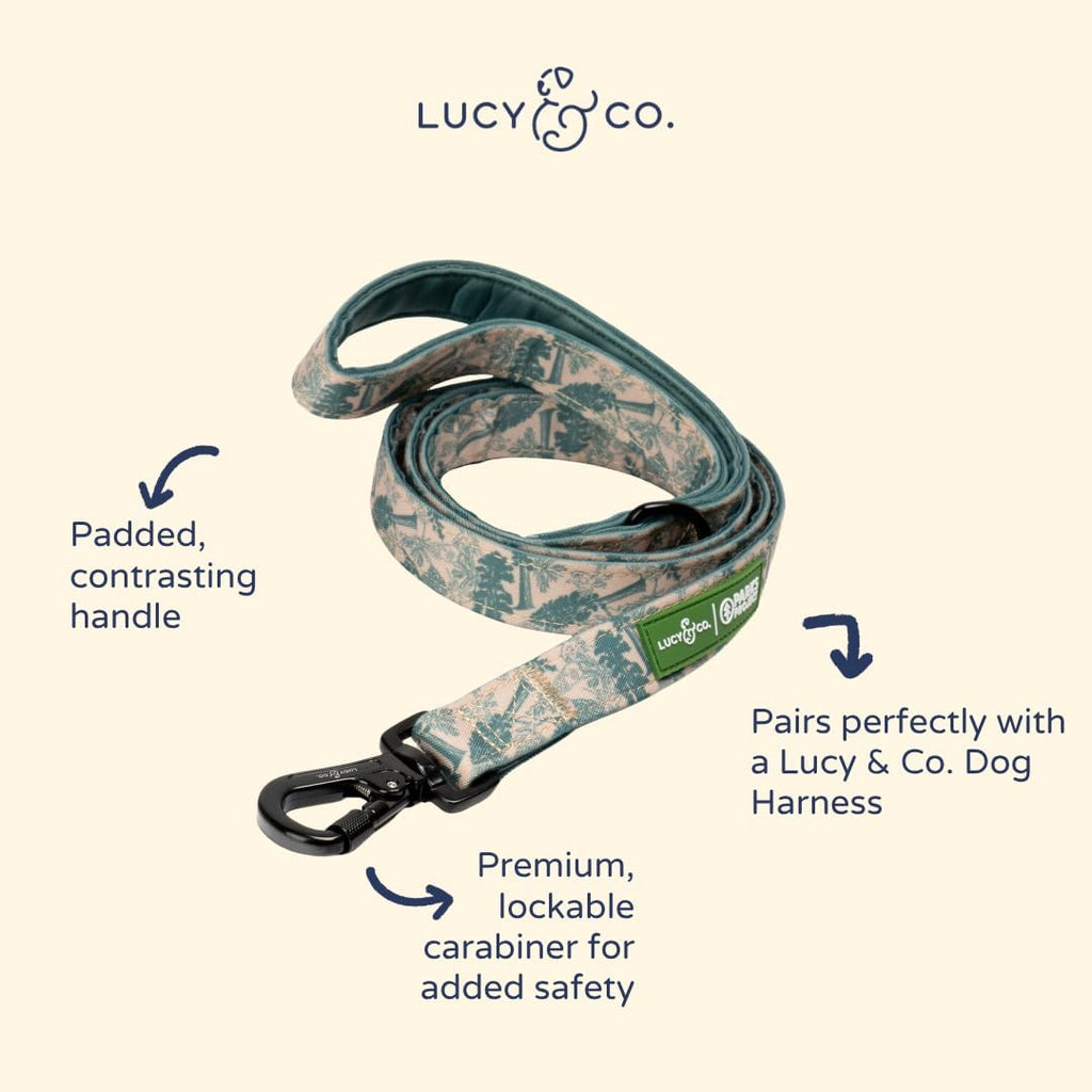Lucy & Co. x Parks Project Sequoia Seedlings Dog Leash, S