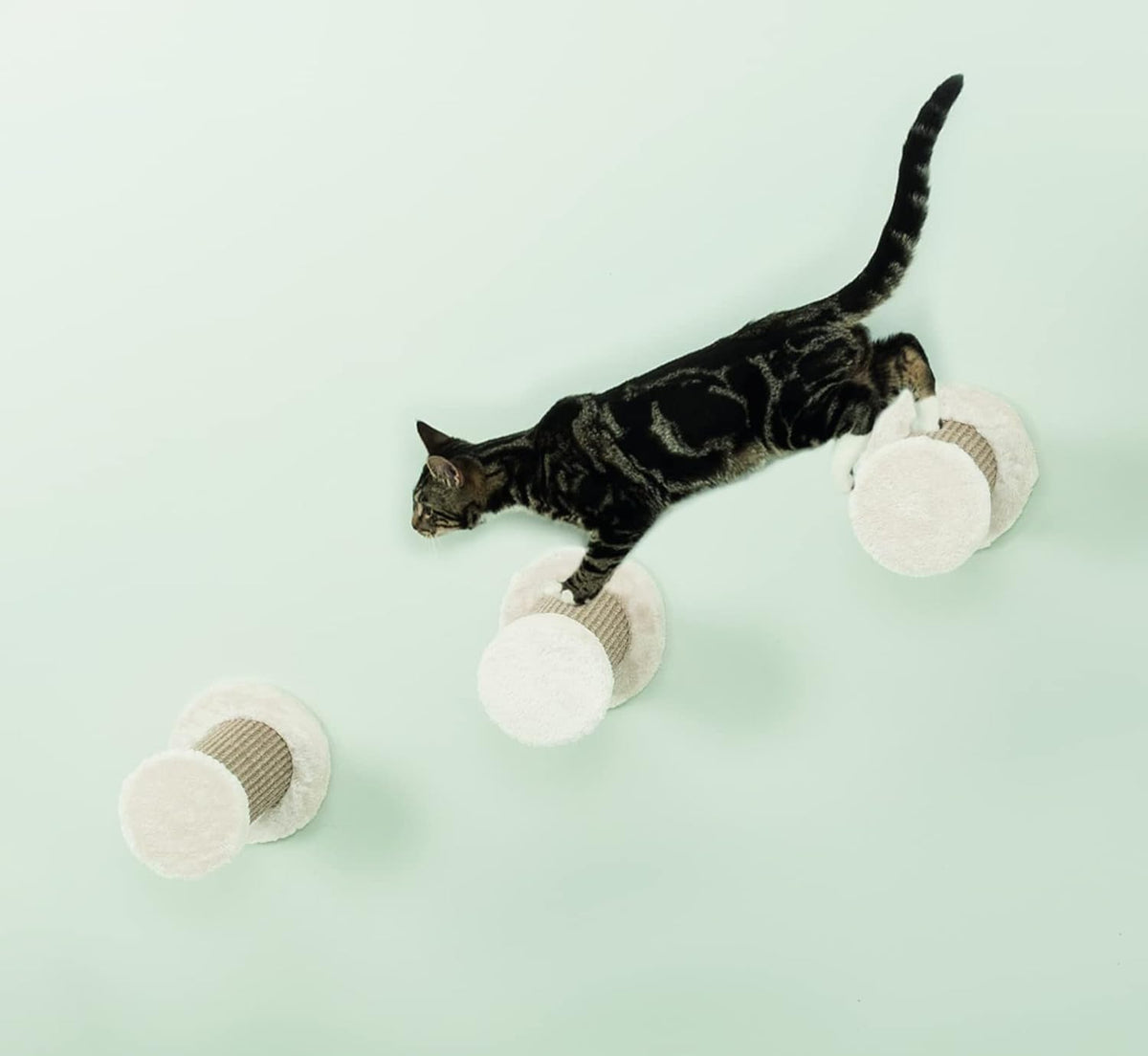 Trixie Wall Mount XXL Cat Climbing Steps, Cat Furniture, Scratching Post, 3pcs, Brown