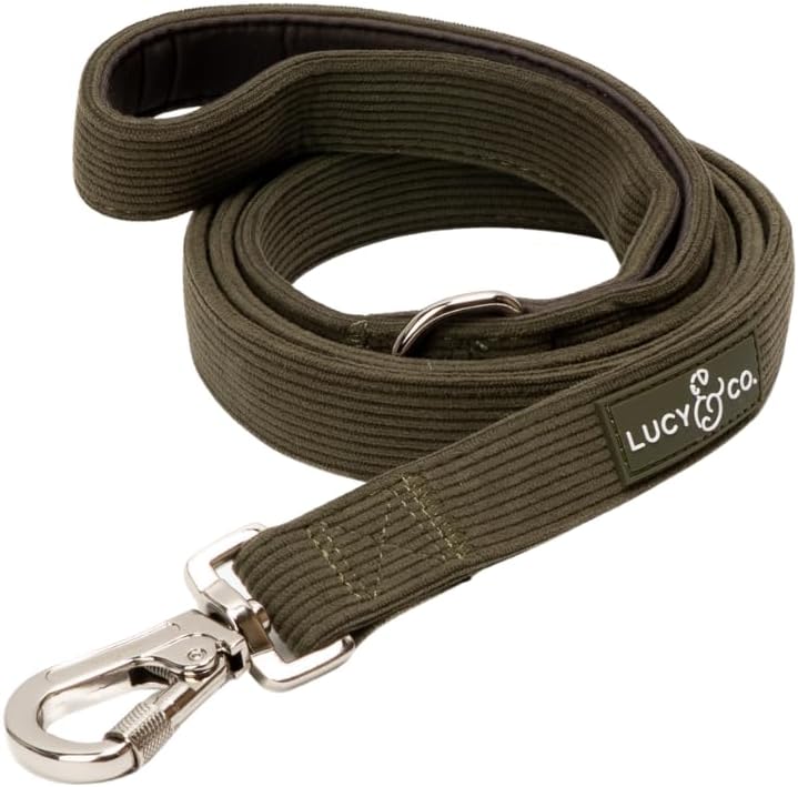Lucy & Co. Take a Hike Corduroy Dog Leash, L